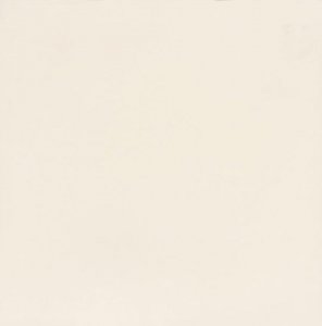 سرامیک 60×60 مات تالکومین PST 110 T
