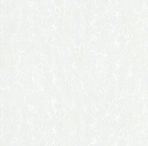 سرامیک لعاب پولیش P.S.P 66630