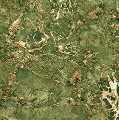 120X120 (2)