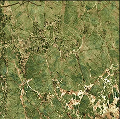 120X120 (4)
