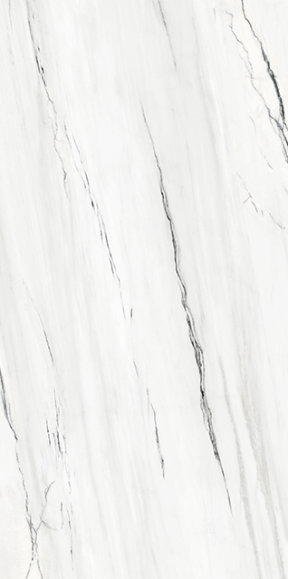 320 x 160 (3)